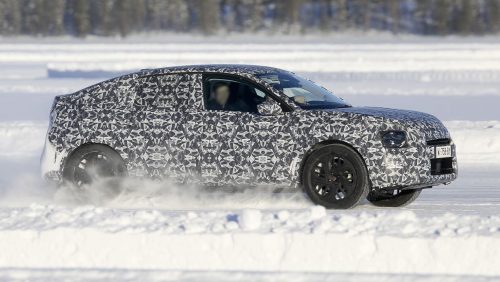 2020 Citroen C4 Cactus casus fotoğrafları