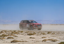 Chery TIGGO7 PRO MAX TransAnatolia’yı Başarıyla Tamamladı!